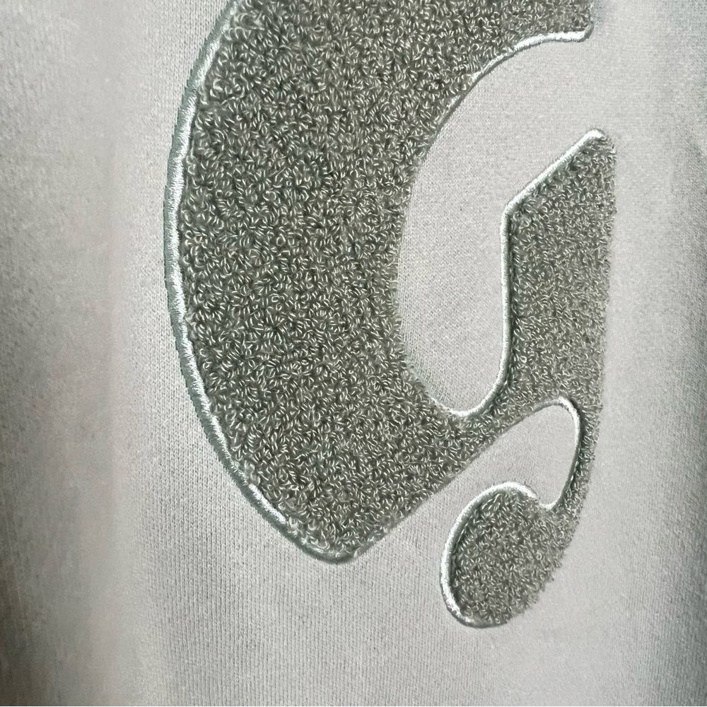 Glossier Green Crewneck Sweatshirt Cozy Academia Pale Green Cozy Campus - Picture 3 of 10